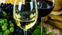 Cata de 3 Vinos