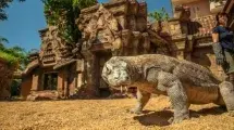 bioparc fuengirola DRAGON KOMODO