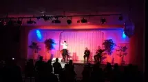 expectaculo flamenco baile cante