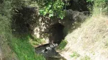 ACEQUIA AYNADAMAR
