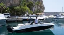 Barco a motor modelo bayliner vr5 04