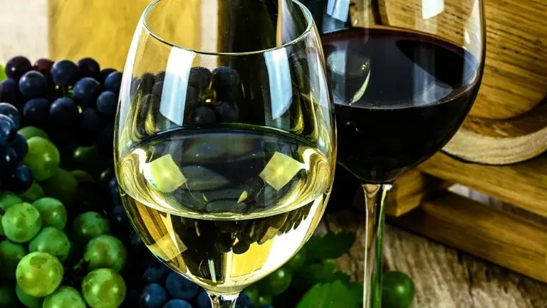 Cata de 3 Vinos