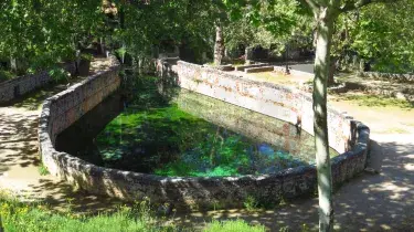 Lorca de la Cuna al Olivo