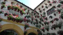 Patio flores cordoba
