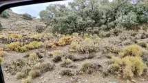 Ruta 4x4 Sierra Almijara cabras