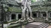 Ta Prohm Temple