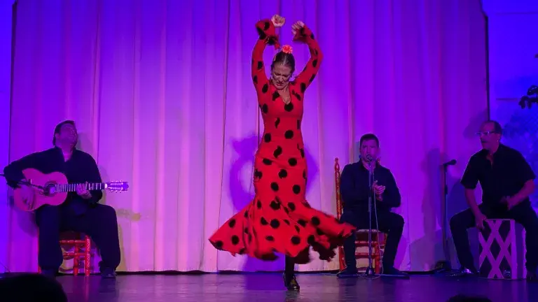bailarina flamenco en espectaculo cante y baile con cena