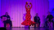 bailarina flamenco espectaculo cante baile con cena