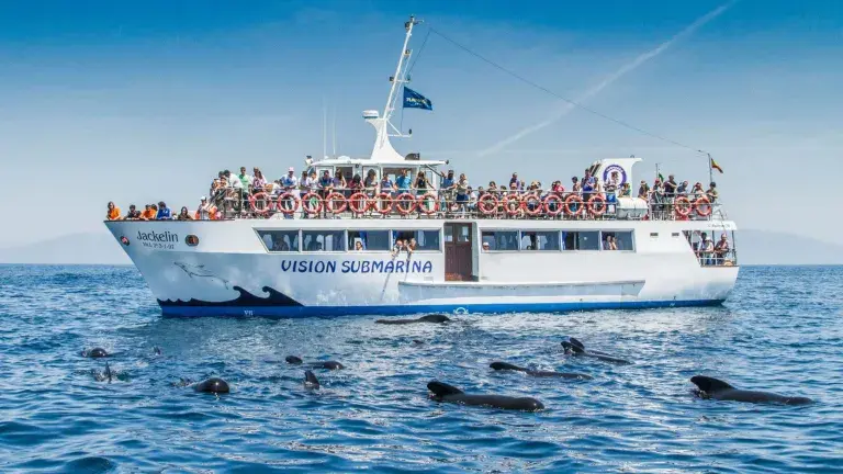 barco avistamiento cetaceos