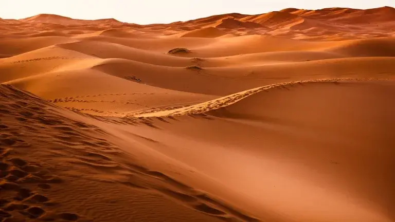 desierto de marruecos durante visita de dia