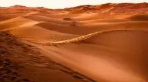 desierto de marruecos visita dia