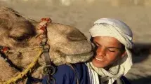 dromedarios personas 