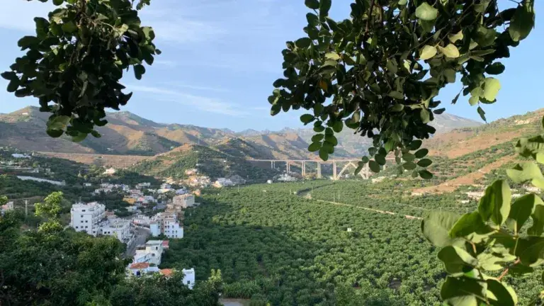 finca tropical