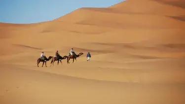 Oasis, dunas y desierto tour en minivan en 8 días