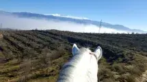 paseo a caballo granada