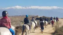 paseo a caballo por Sierra Nevada