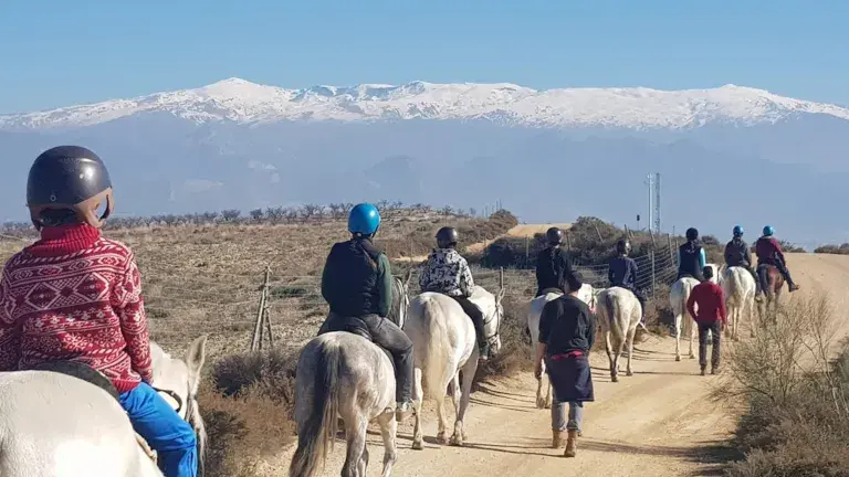 paseo caballo Sierra Nevada