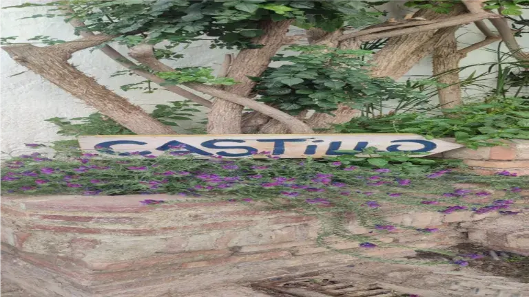 señal para ir al castillo salobreña